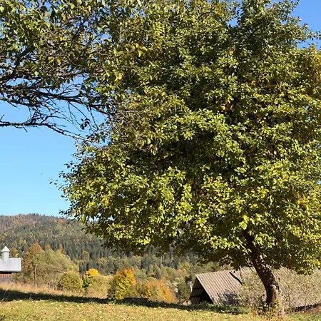 Будинок відпочинку поза зоною , Carpathian Mountain House *
